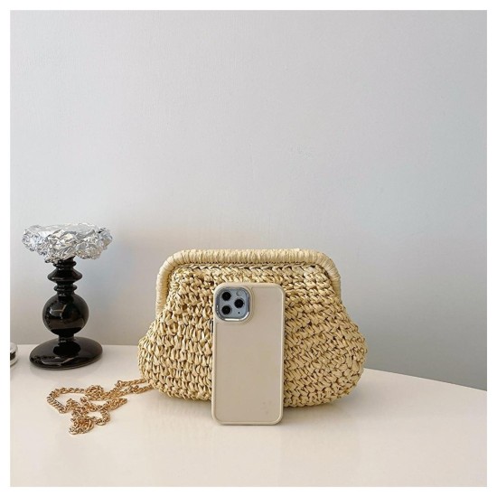 Beach Bags Trendy Bag Crossbody Bag with Detachable Chain Shoulder Bags